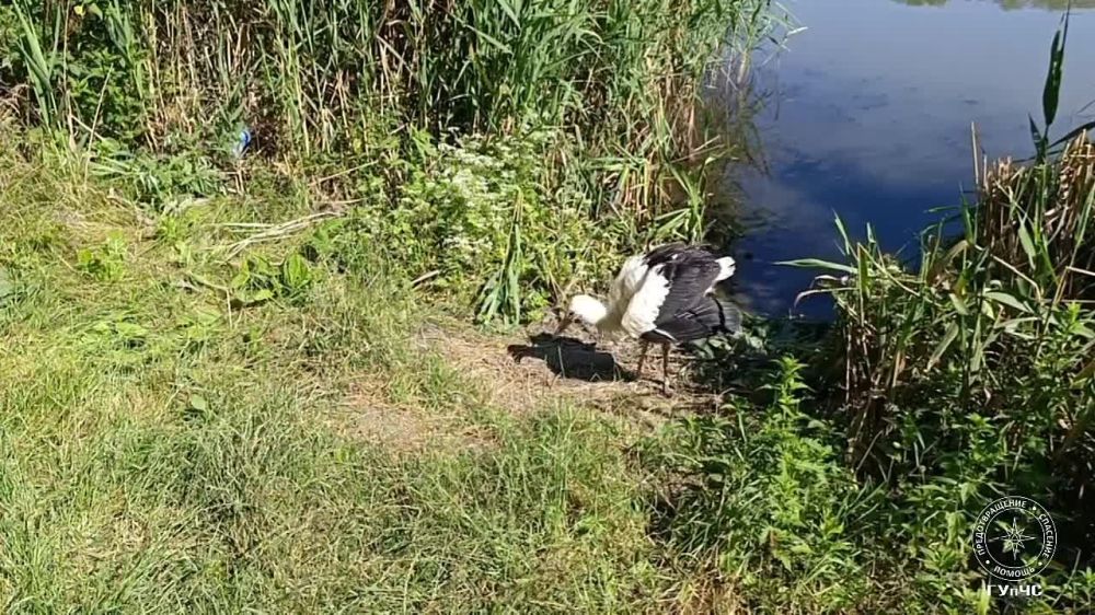 ��������� ��������� ���������� ��������� �� ���������, ������ ��� ������ �����