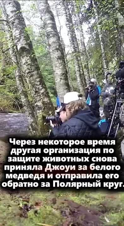 ������� ��� ������ ������������ ������� � ����