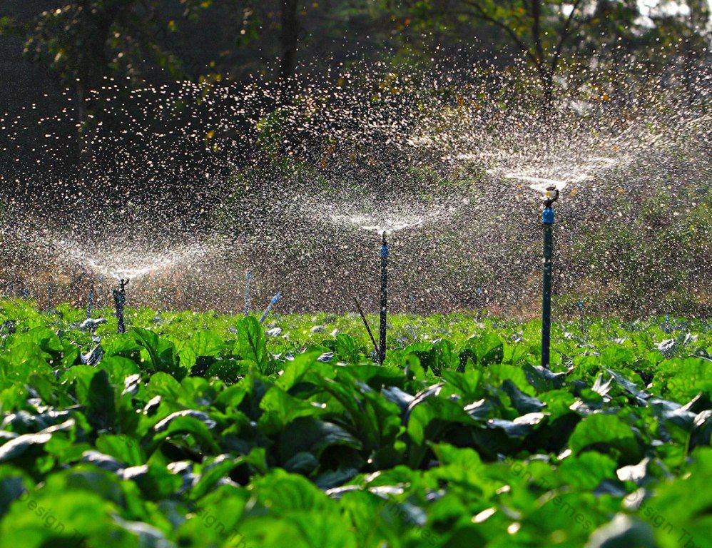 В 2023 году площадь орошаемых земель увеличена на 3 тыс