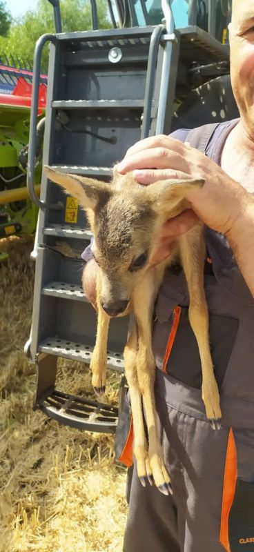 � �������� �������� ������� �� ���� � ���� �� ����� ��� �������