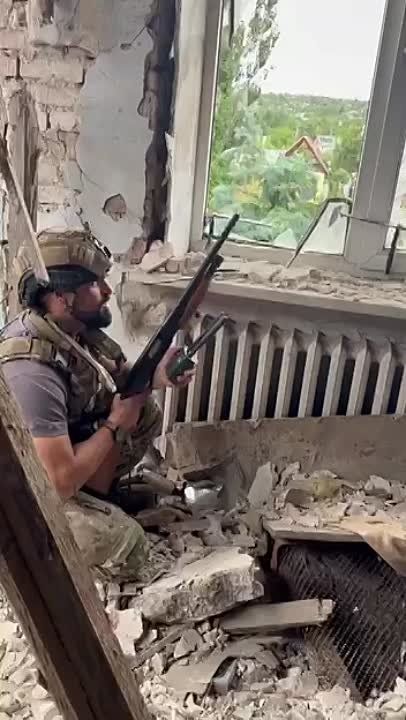 ���� ��������� ����-��������� �� �����