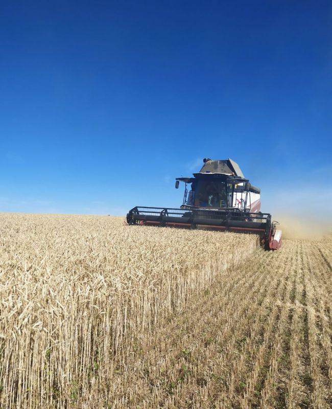 ������������ ��� " ������" � ��������� ������ ����� ������ �������