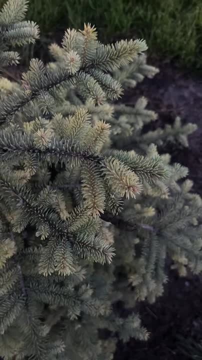 � ������������� ����� �����-������