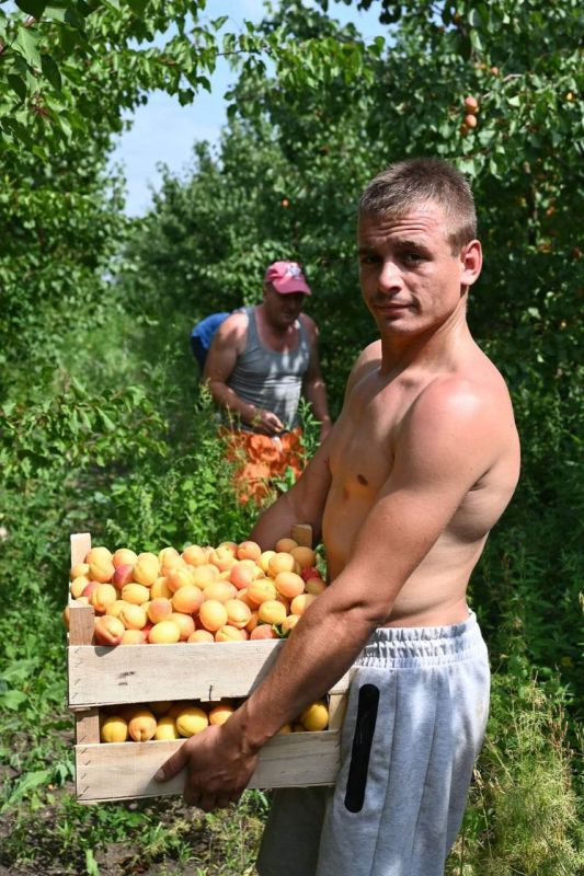 ���� ��������� � �������