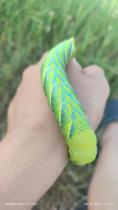 �������� ���������.. ���� �� ����������