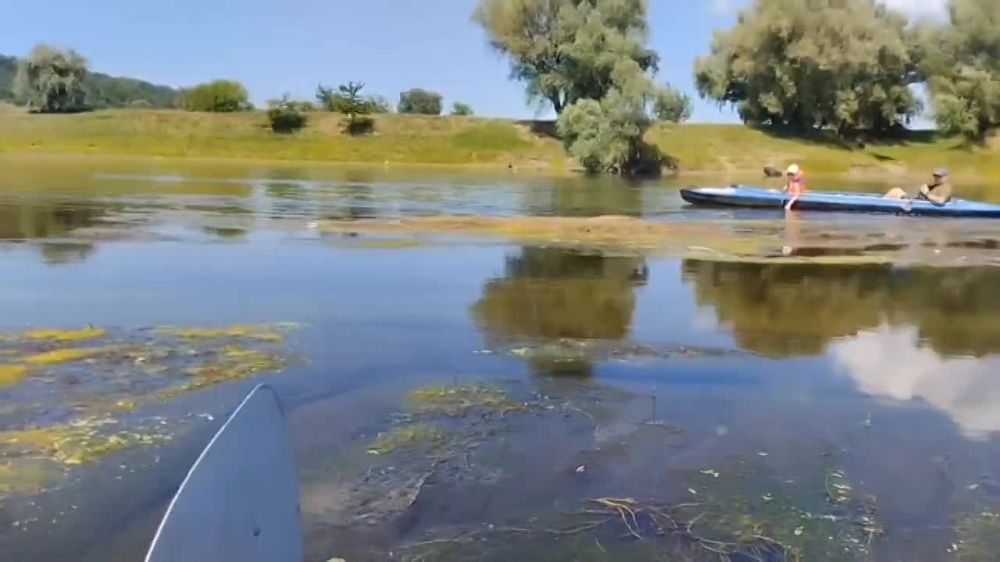 ������. �������� ����. ���� �� ������