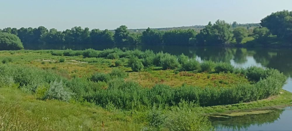 �������� ��������� �� �������