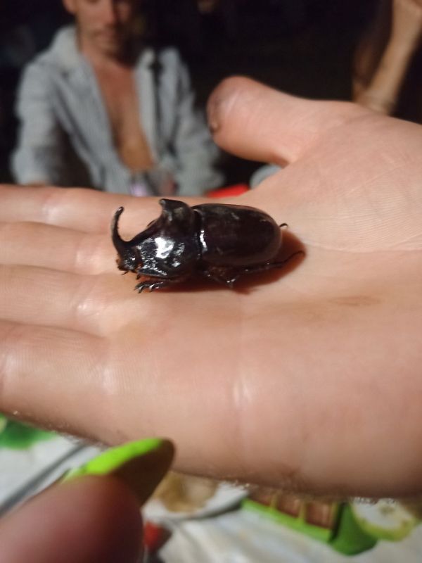 �� ��������� �������� � ����������� �������� ���-�������