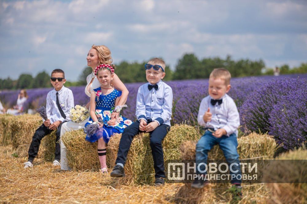 ����������� ����� � ��������� ������������ ������� ������������