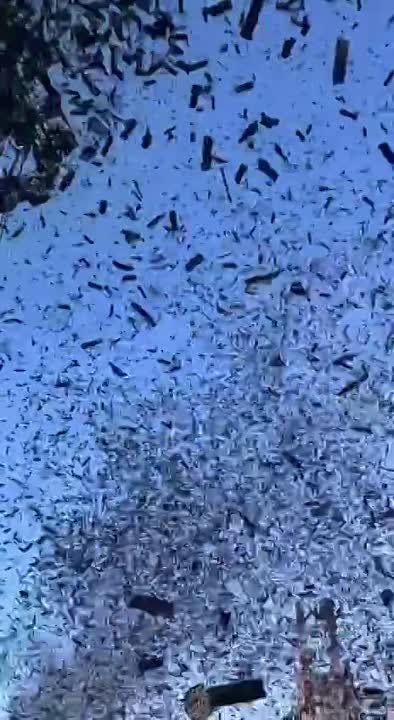 � ������� ��������������� ��� ������ Rammstein �������� ���������� �������