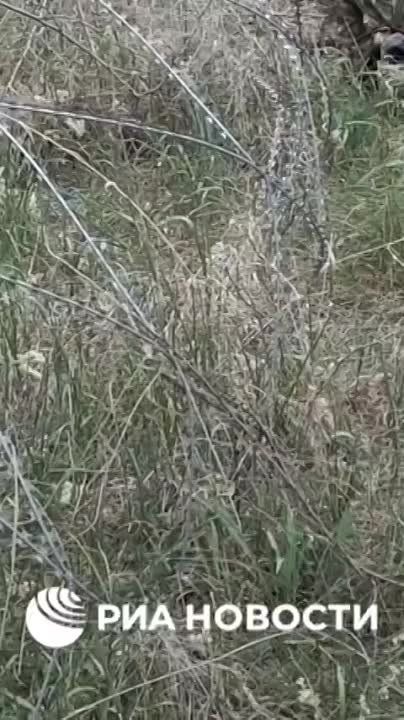 ������ �������� ������� � ���������� �������� �� ����� �� ������� � ��������, �������� ��� �������