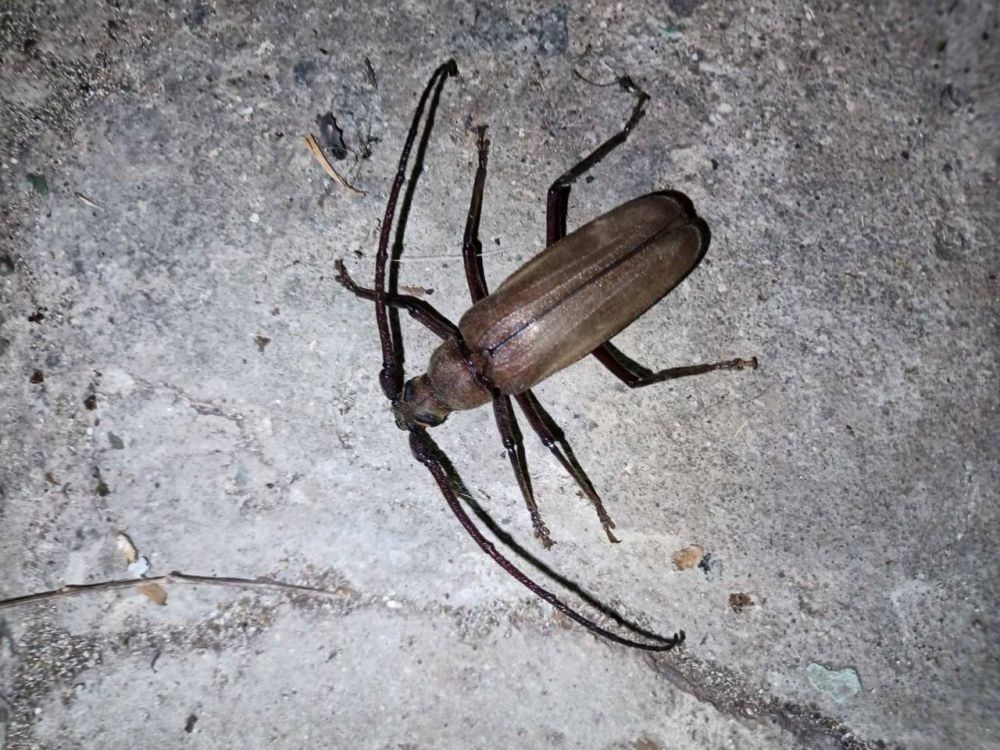 ��� ���� ���� �� ���������