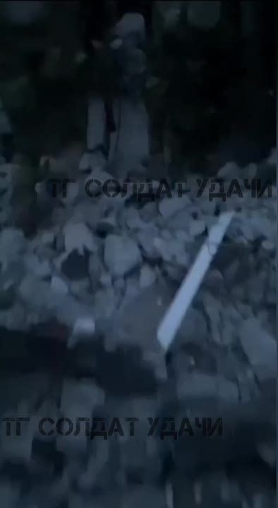 ����������� �����������