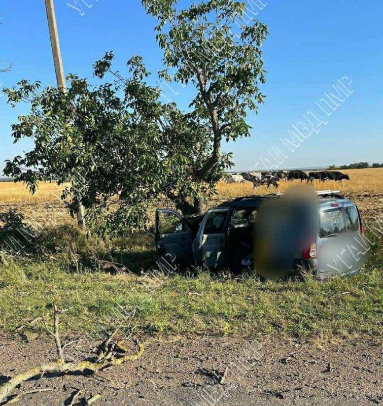 �������� ������� ���������� � �������� � ������ �� ������ � ������������� ������