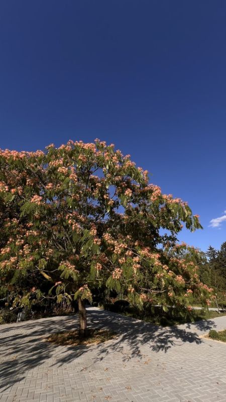 ��� 10 ����� ����� ������ ���� ������ � ����� �������