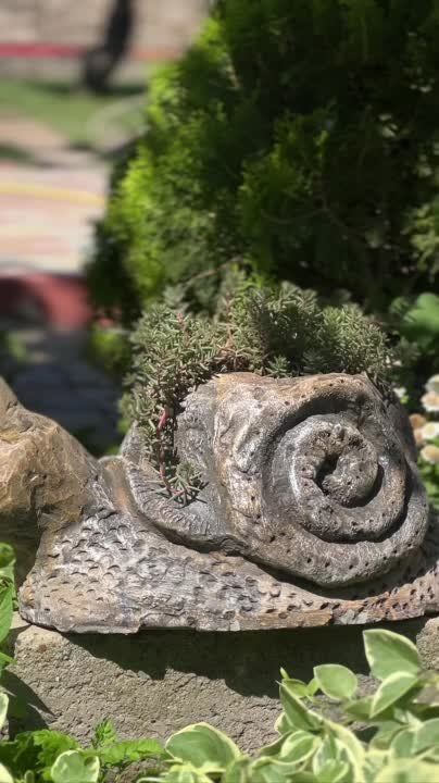 ����� ������� ��������������� �������: ������ �� ��������� ������ ������� ���������� �� ������