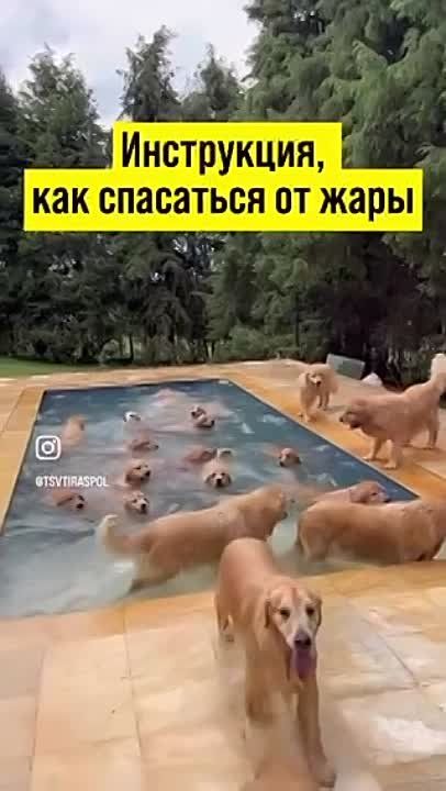 ��������� ��������� �������������� ��-�� ����