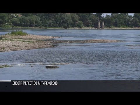 ��� �������� ������� ������ ����셻