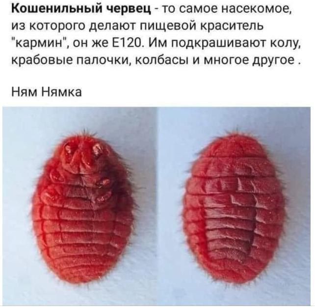 ���� ���