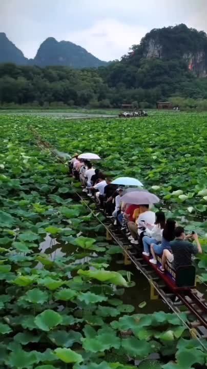 ������������� ������� ����� ��������� ���� ��������� �������, �����