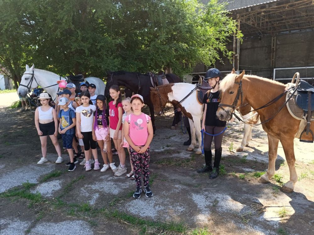 �������� ������. ��������������� ���� ������-�������� �������� ����������� ��������� ��� ����� �� ������ ������� �������������