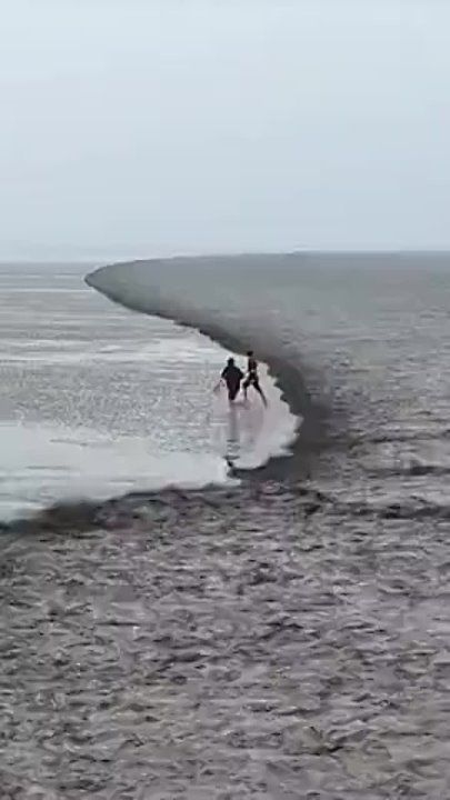 �������� ��������, ��� � 1 ���� ����� �������� � �������