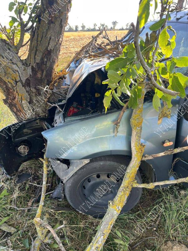 ��� � ������ ������� ������������: 51-������ �������� ������ ������� ���������� � �������� � ������