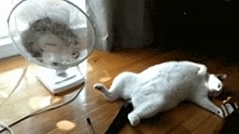 ��� �� ������� ������������?