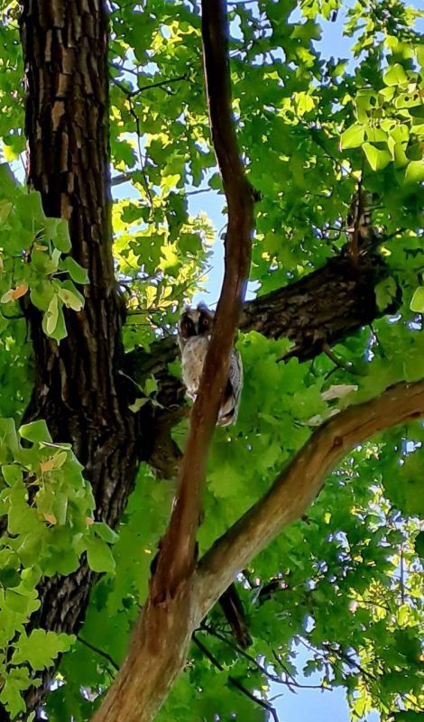 ��� ����� �������� ����� �� ������ ������� ����� � ��������