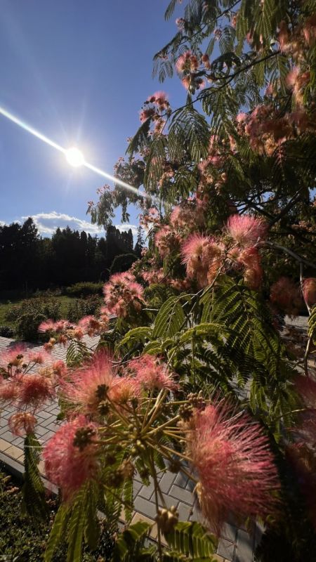 � ��������� ����������� ������ ��������