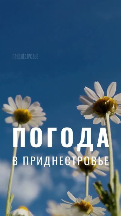 1 ���� ��������� ���������� ����������, ��� �������