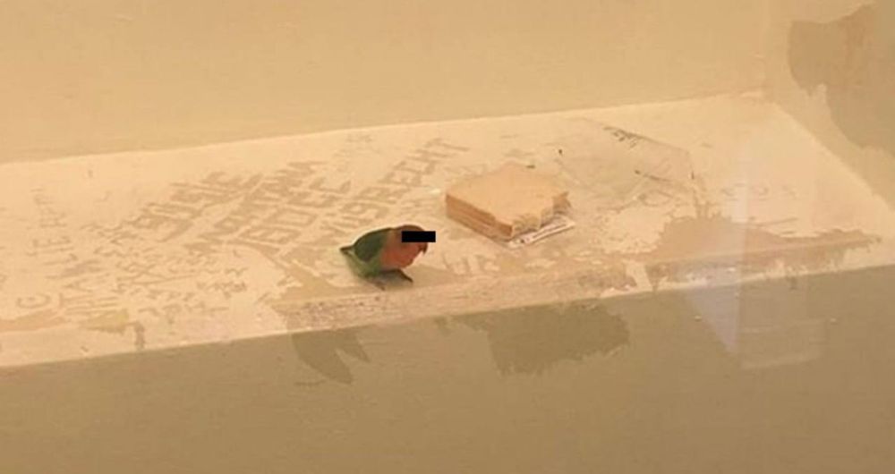 � ����������� ������� ��������� �������, ��� ����������� ������������ � �� ����� �� ����� � �������, ����� ��� ���� �� ��������