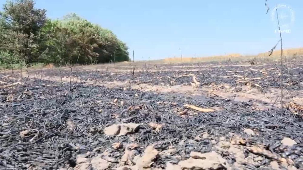 � ������ ����� � �������� ��������� ����� �����, � ����� ����������� �� ���� �������