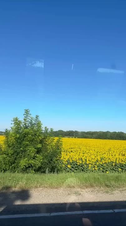 � ������������� ��������� ����� �����������