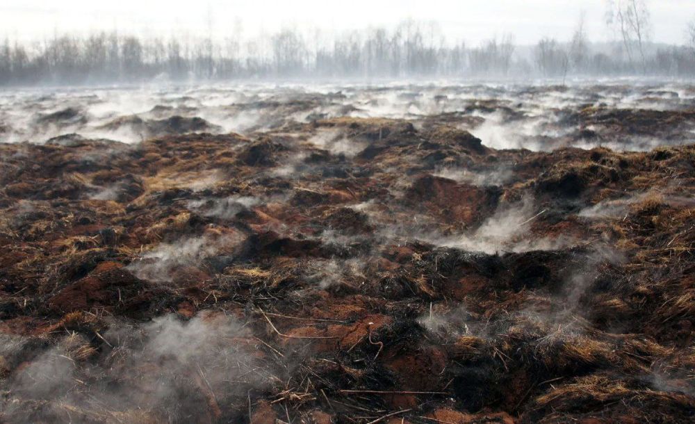 � ������������ ���������� ���������� ���