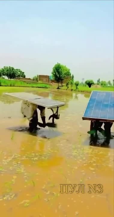 ��� �������� � ����� ���� - �����������, ������� ������ � �����: � ����� �������� ���� ������ �� ����� ������ ��������� �������, ������� ������ �����������