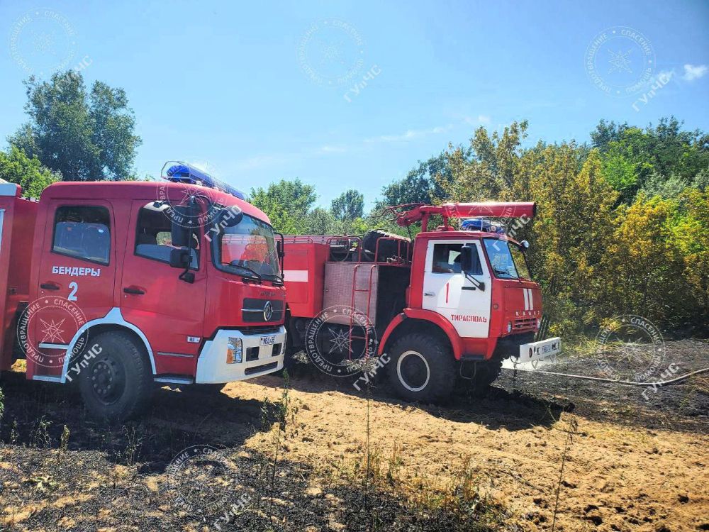 ����� ��������� 4 ������� ������� � ��������