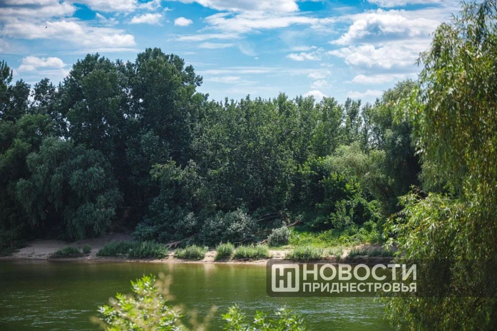 ���� � ������� �� ������? ������ ���, ������� ������� ��������������� ���������� ������� ���������