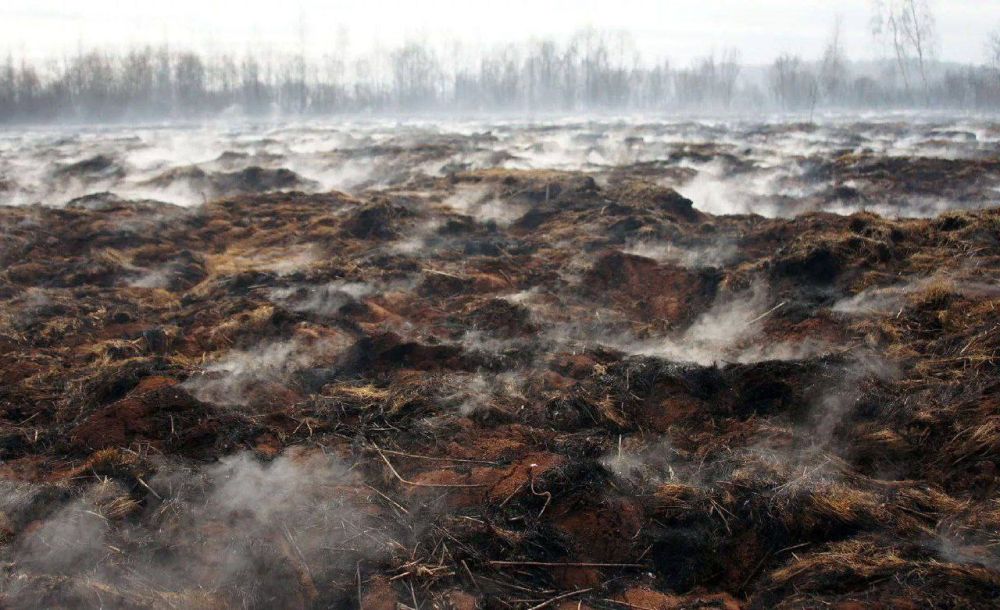 �������� ������������� ����� ���� ����� � 19 ���� ���� �� ������� ��� �������� 600 ���������� ������, ��� ���� �������