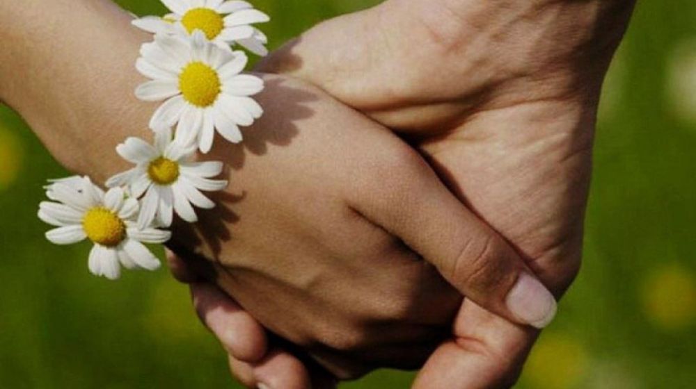 � �������� ������� ���� �����, ����� � ��������