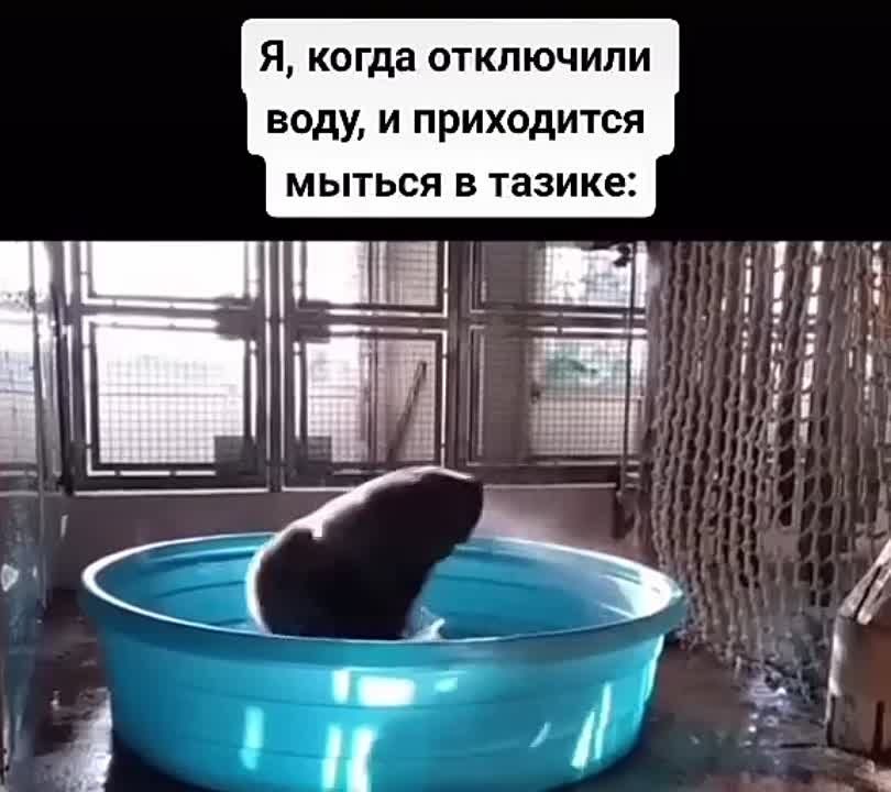 � ��������� �� 2 ������ �������� ������� ����