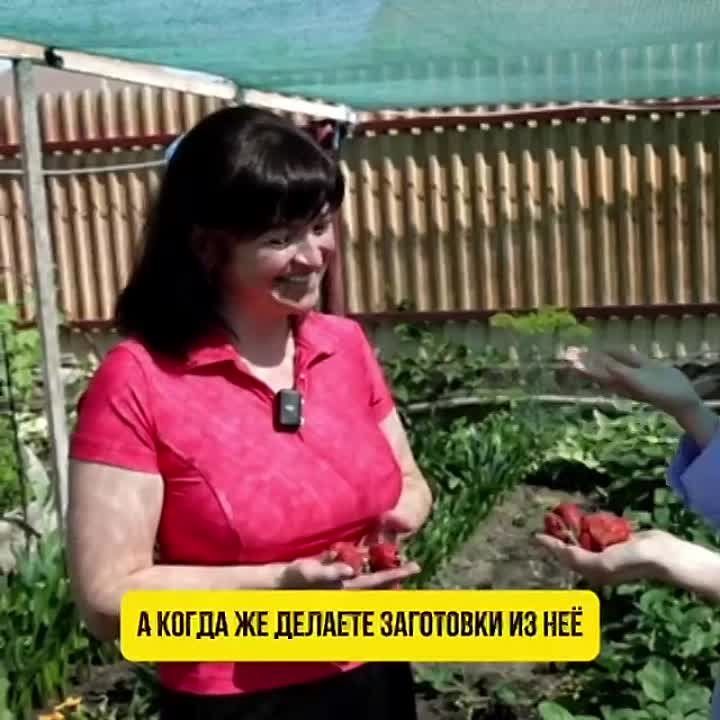 �������� �� ������ ������� ����� � ��������