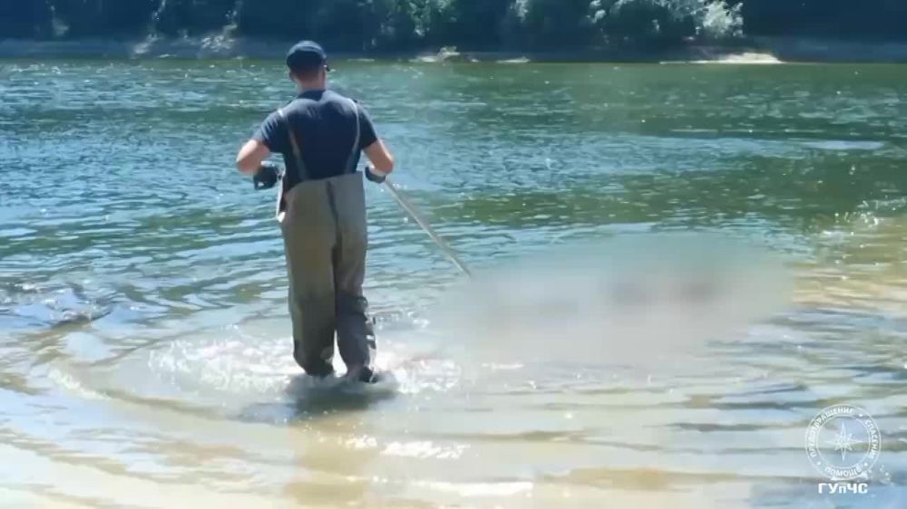 �� ������� ������� ���� 36-������� ���������������