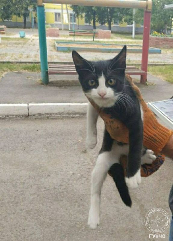 � ������� ��� ��� ��� �������� �� ������