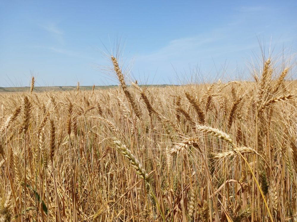 ��� ������� ��������� ����� �� ����� �� � ��, 4 ���� ��������� ���������� ����������, ������� ��������������� �����