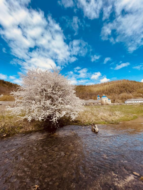 ������� �� ���� ����� � ������ �������� �����