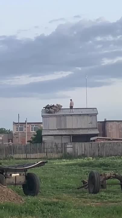 � ����� ����� ���� ��������� �� ����� ������ � �� ������ ����������