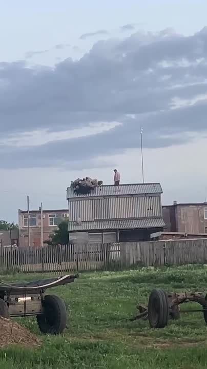 ����� ���� ��������� �� ����� �������� � �� ������ ����������