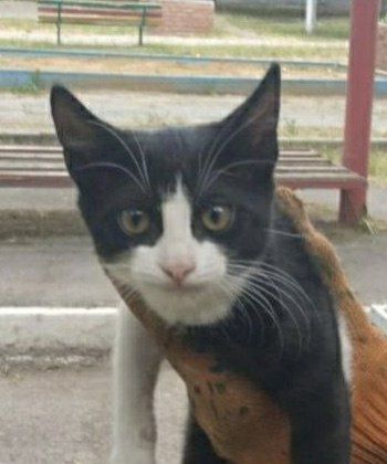 ��������� ��� 2 ��� ���� �� ������, ���� �� �������� ���������