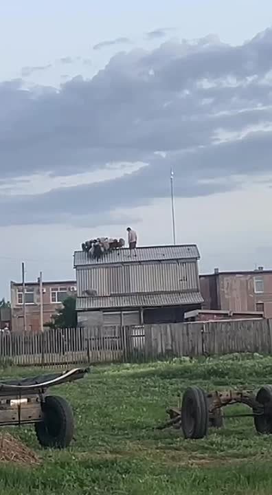 ����� ������ � ����: ���� ��������� �� ����� �������� � �� ������ ����������